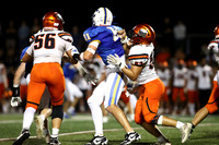 SVL_fb_09