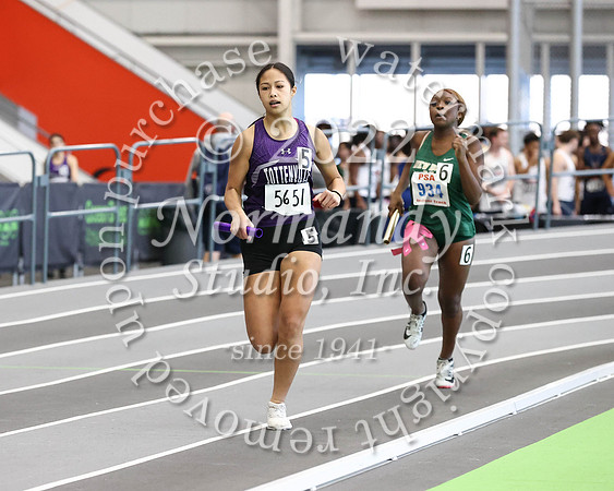 TOT_wt-g_45