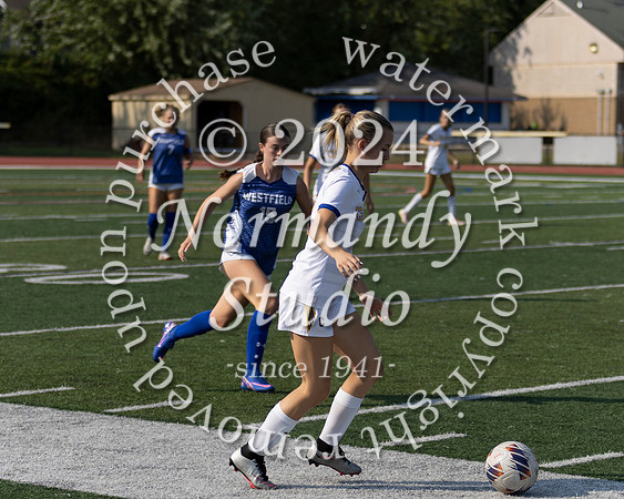 WHS_so-g_16