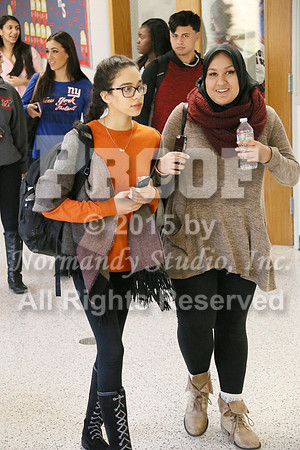 MNP_079_slc