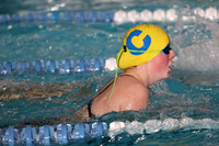 CHS_sw-g_02
