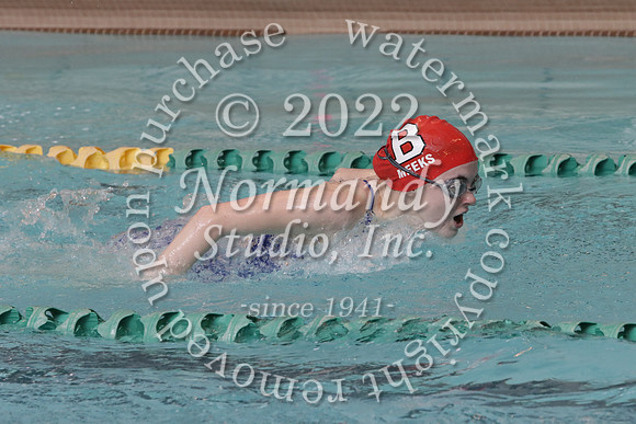 VOR_sw-g_31