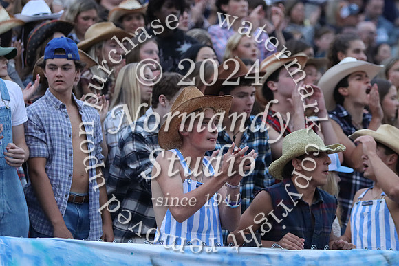 WMC_fans_46