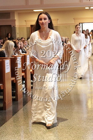 MSM_jr_ring mass_020