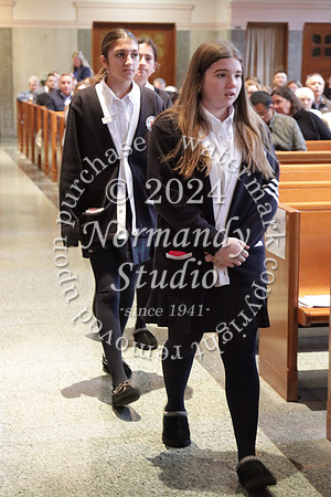 MSM_jr_ring mass_003