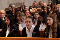 MSM_jr_ring mass_008