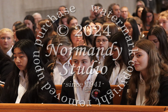MSM_jr_ring mass_008