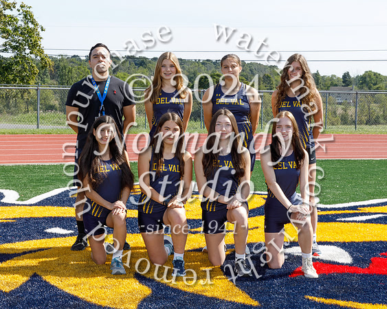 DVH_cc-g-t_01