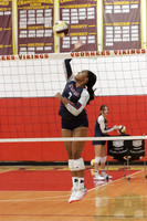 MSM_vb-g_19