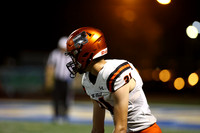SVL_fb_03