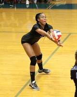SPF_17_vb-g