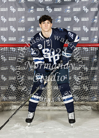SHP_ih-v-ind_09