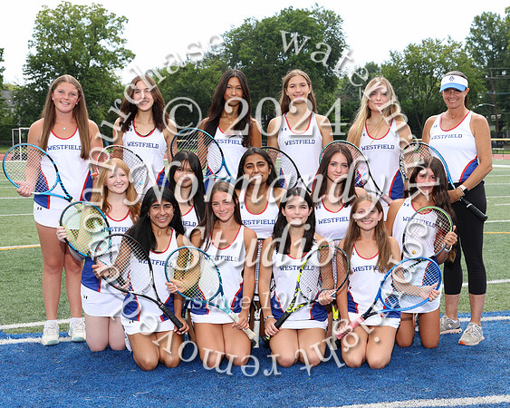 WHS_tn-g-v-t_309