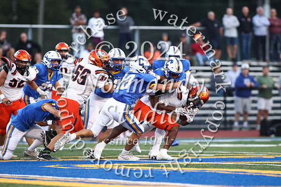 SVL_fb_74