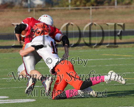 SVL_fb-j_037