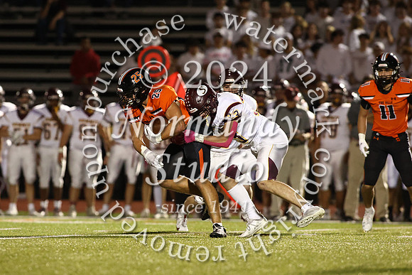 SVL_fb_53
