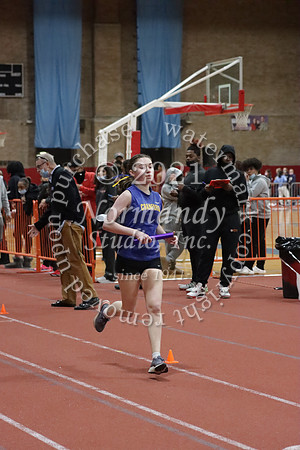 CHS_19_wt-g