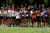 SVL_cc_b_017