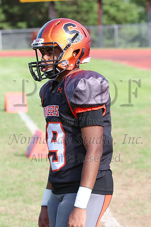 SVL_035_fb-j