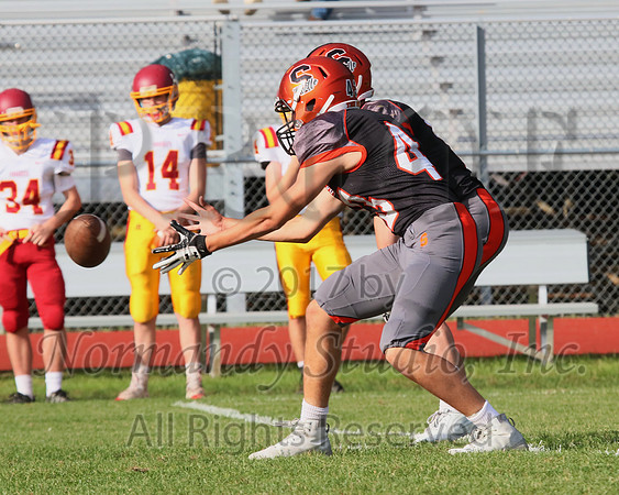 SVL_067_fb-j