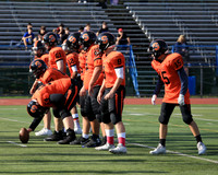 SVL_03_fb-f