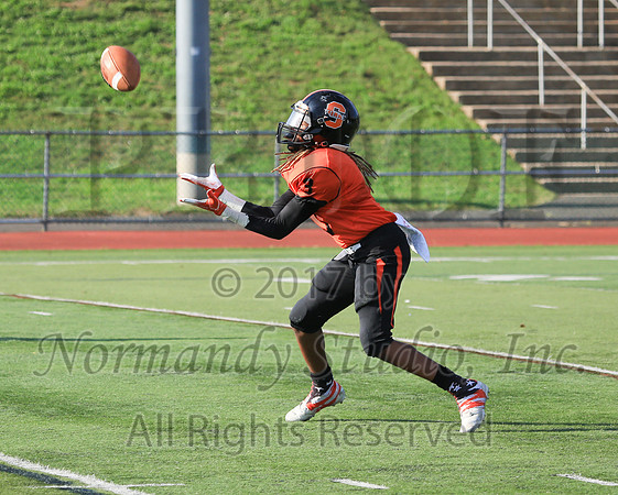 SVL_19_fb-f