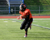 SVL_20_fb-f
