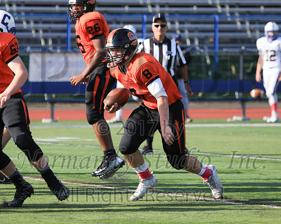 SVL_29_fb-f