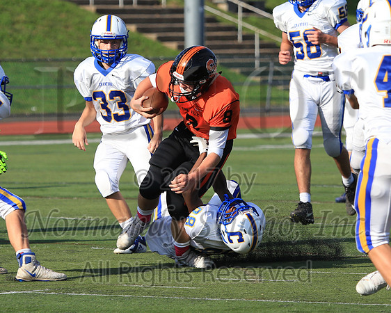 SVL_43_fb-f