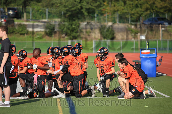 SVL_44_fb-f