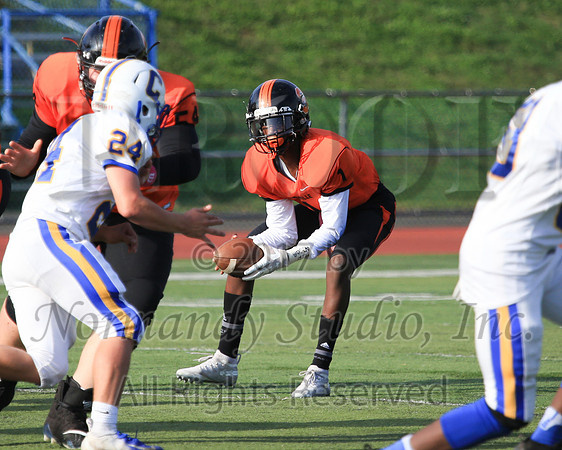 SVL_48_fb-f