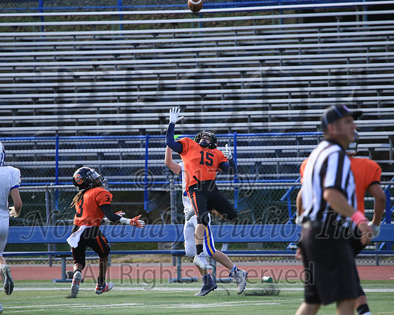 SVL_55_fb-f