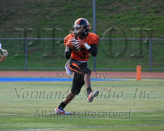 SVL_57_fb-f
