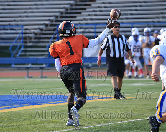 SVL_68_fb-f