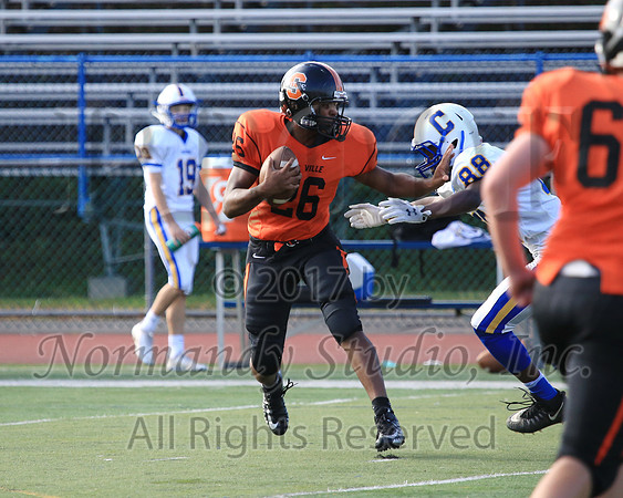 SVL_69_fb-f