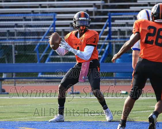 SVL_71_fb-f