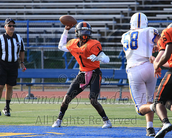 SVL_72_fb-f