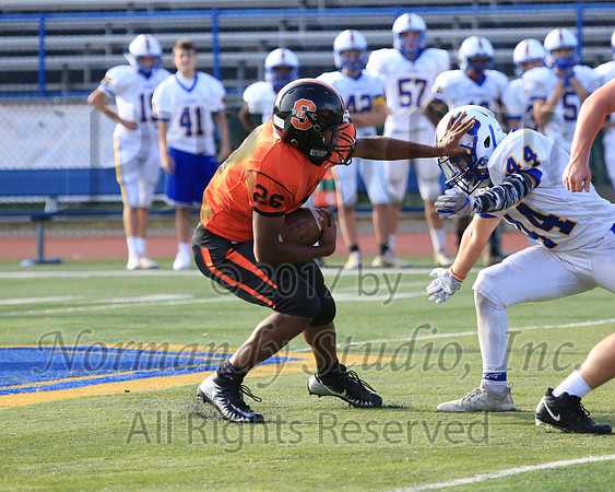 SVL_73_fb-f