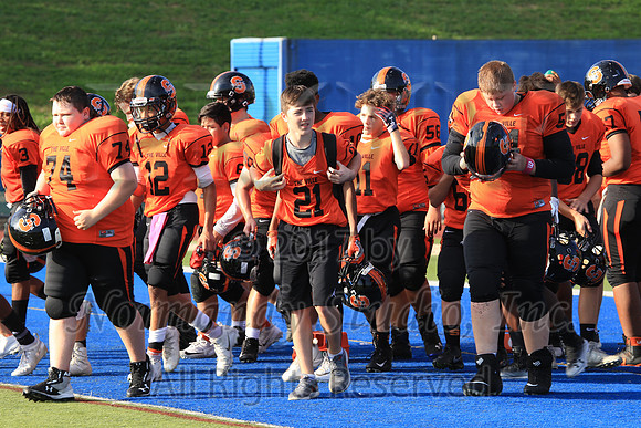 SVL_115_fb-f