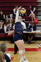 MSM_vb-g_12