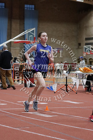 CHS_33_wt-g