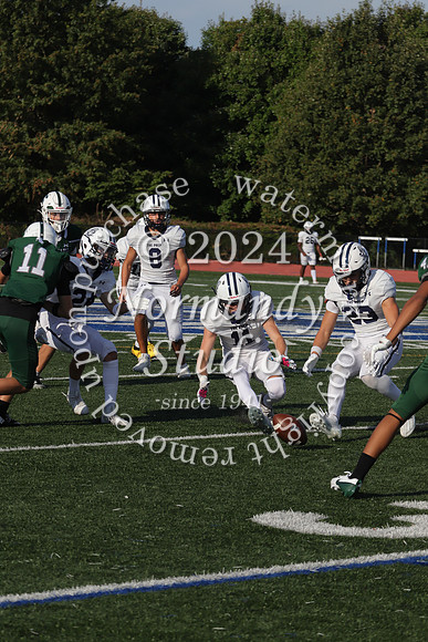 SHP_fb-f_28