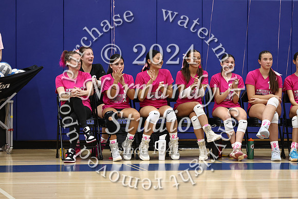 WHS_vb-pink out_22