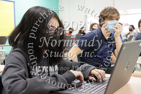 MNP_035_slc