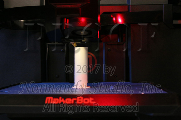 RDG_041_slc