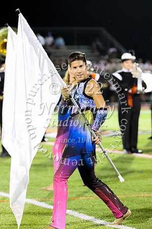SVL_guard_15
