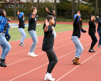 STEPPERS
