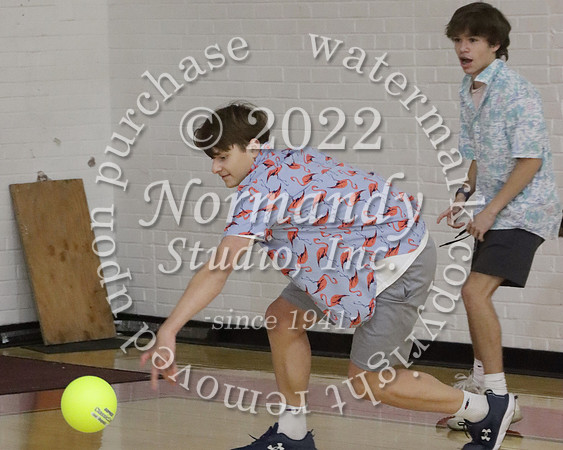 BER_dodgeball_069