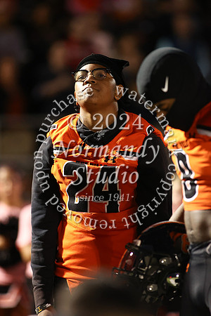 SVL_fb_31