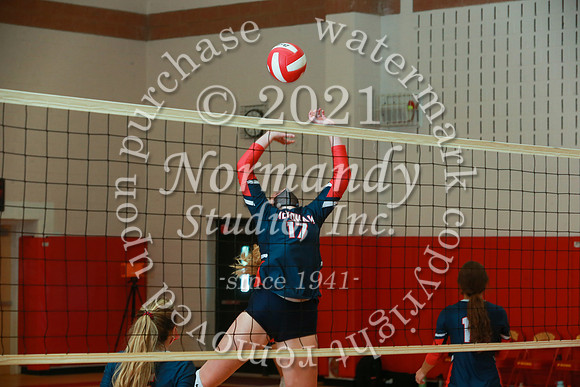 WMM_42_vb-g